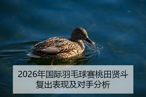 2026年国际羽毛球赛桃田贤斗复出表现及对手分析
